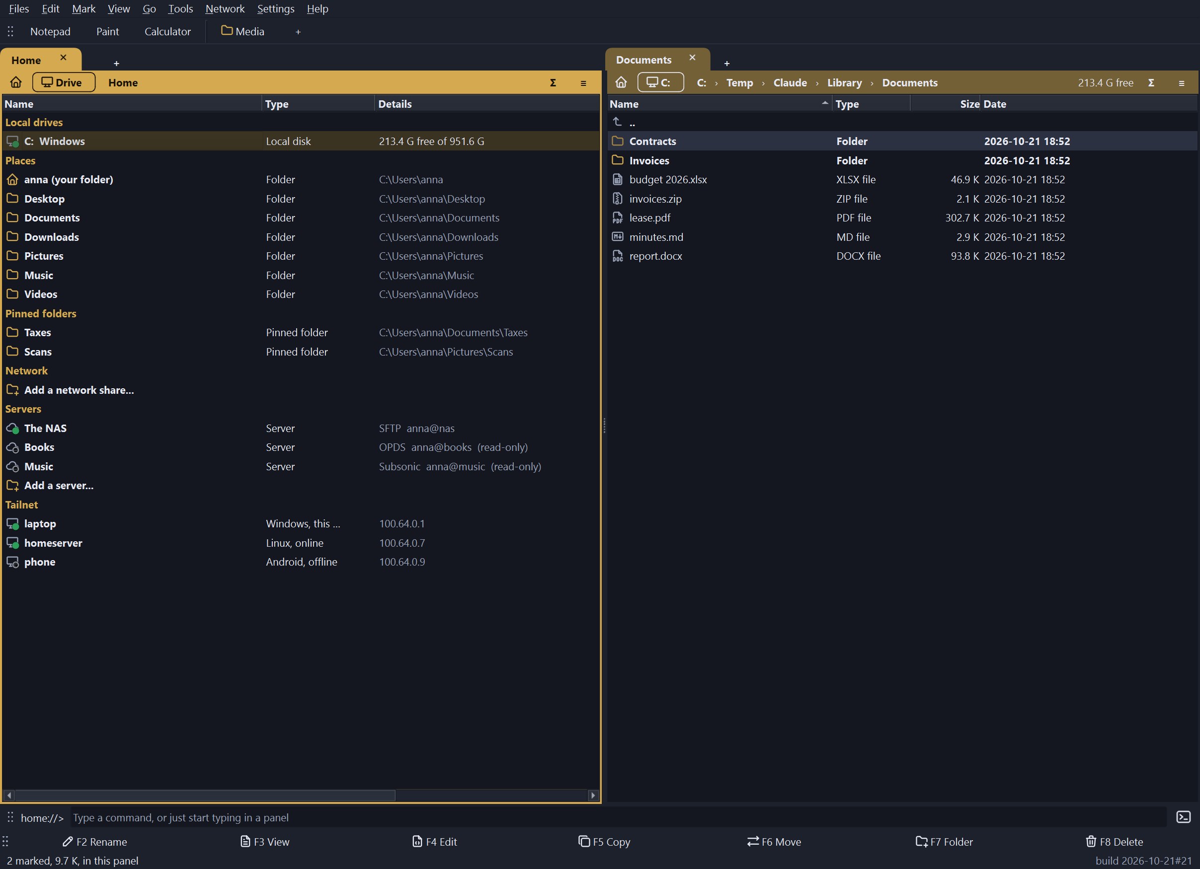 Dossier's Home page: local drives, places, pinned folders, network shares, servers and devices of a Tailscale network, each with a coloured light.